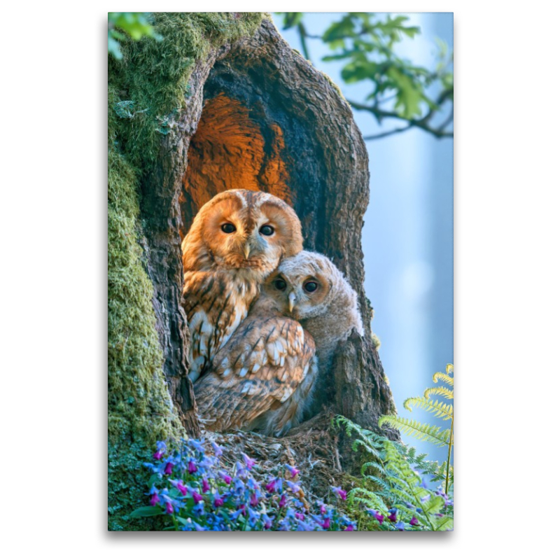 Ein Motiv aus dem Kalender Wunder der Wildnis