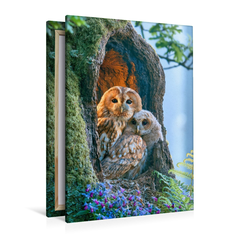 Ein Motiv aus dem Kalender Wunder der Wildnis