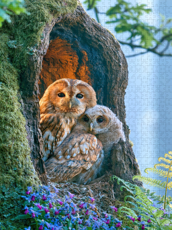 Ein Motiv aus dem Kalender Wunder der Wildnis