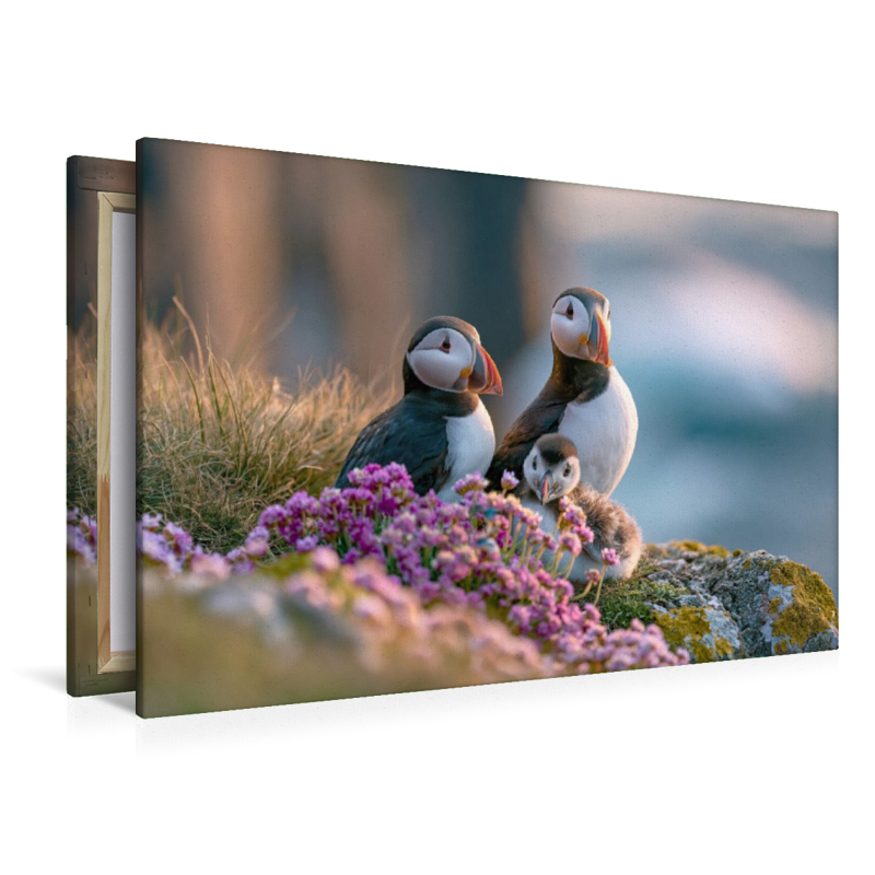 Ein Motiv aus dem Kalender Im Herzen der Wildnis