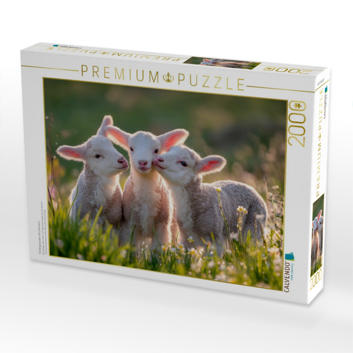 Frühlingszauber mit Lämmern