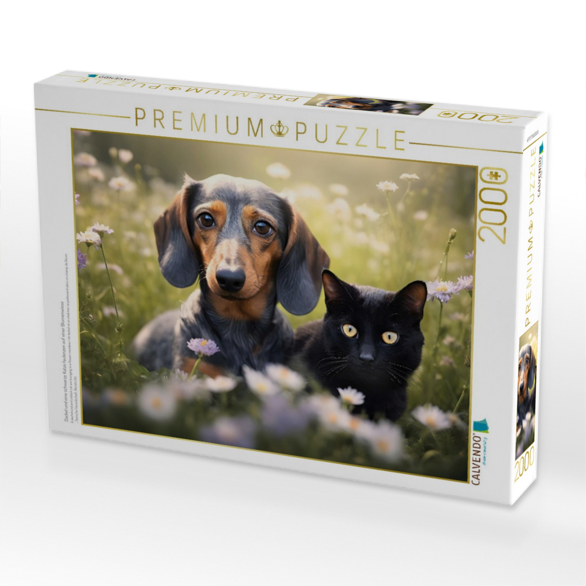 Dackel und eine schwarze Katze faulenzen auf einer Blumenwiese