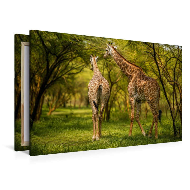 Giraffen in der Savanne – Faszinierende Tierwelt im Senegal
