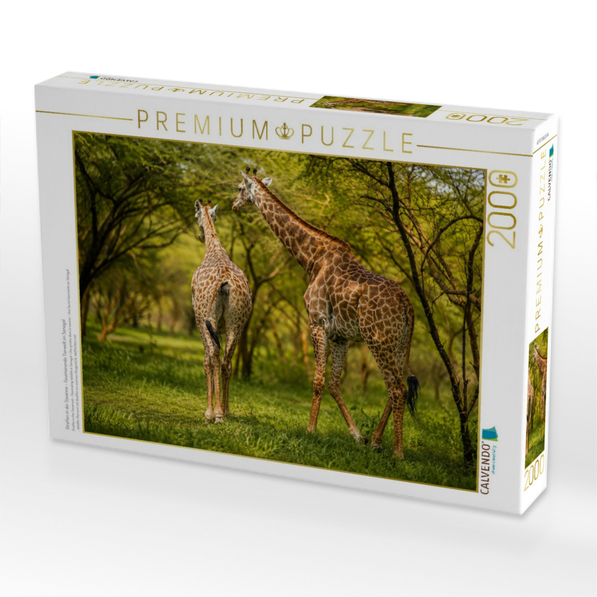 Giraffen in der Savanne – Faszinierende Tierwelt im Senegal