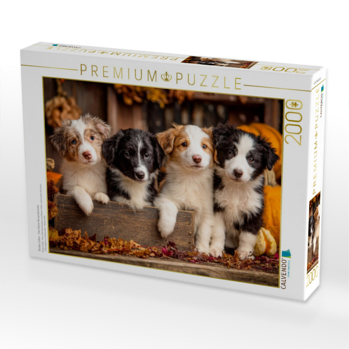 Border Collies - Vier kleine Herzensbrecher