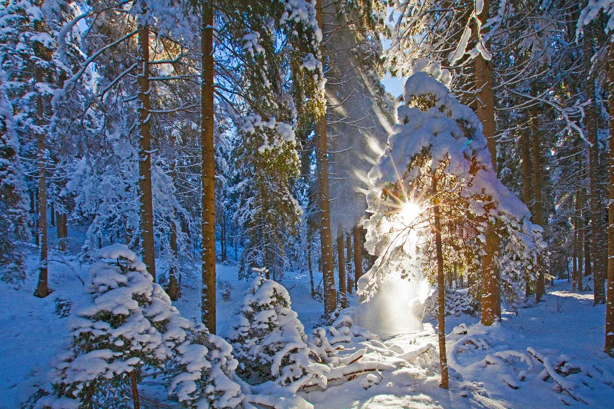 Winterzauber am Kreischberg