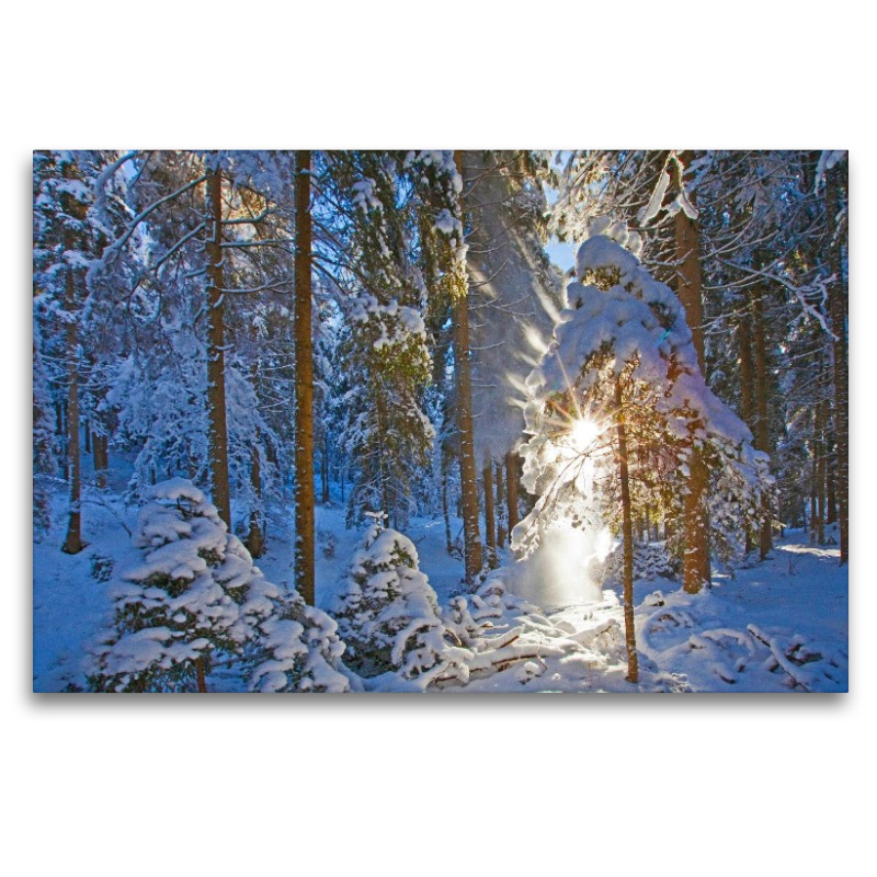 Winterzauber am Kreischberg