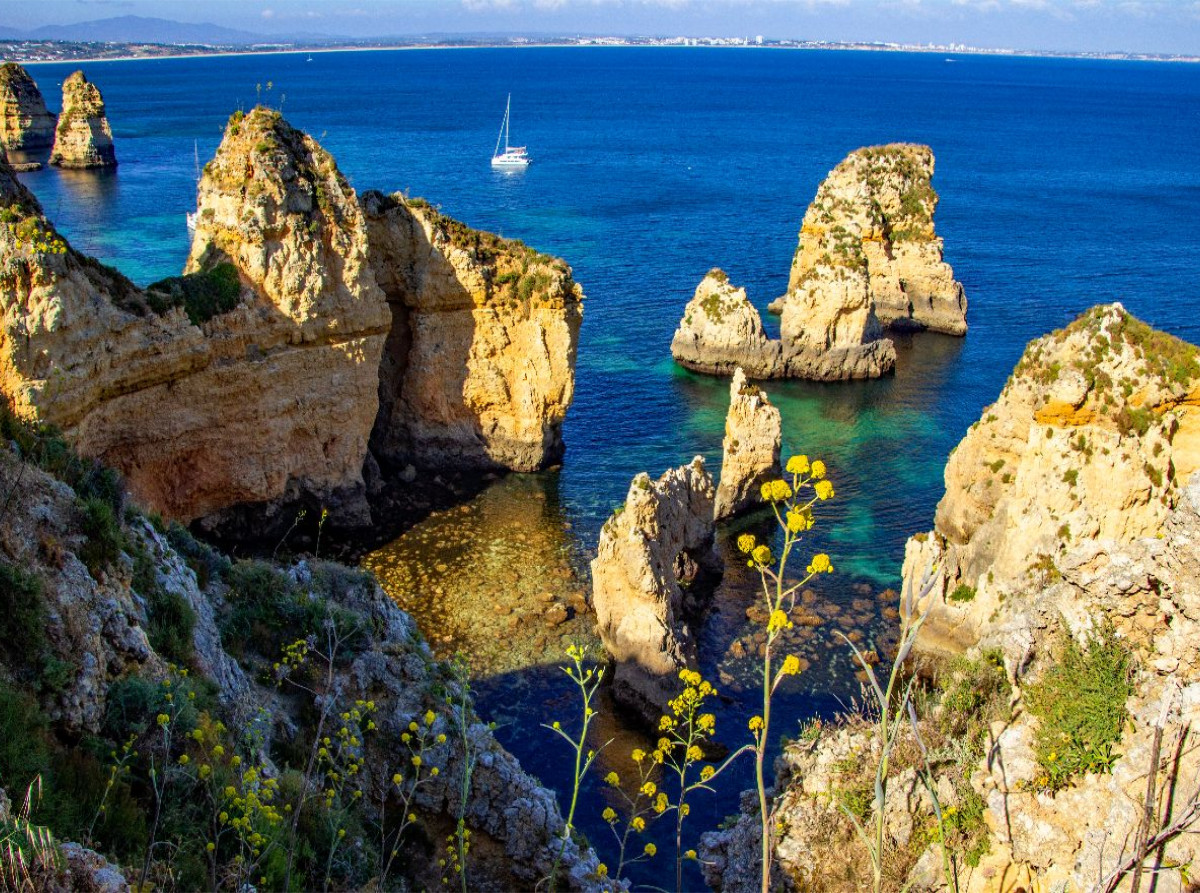 Klippenhang und Wildblumen vor der Küste vor Lagos