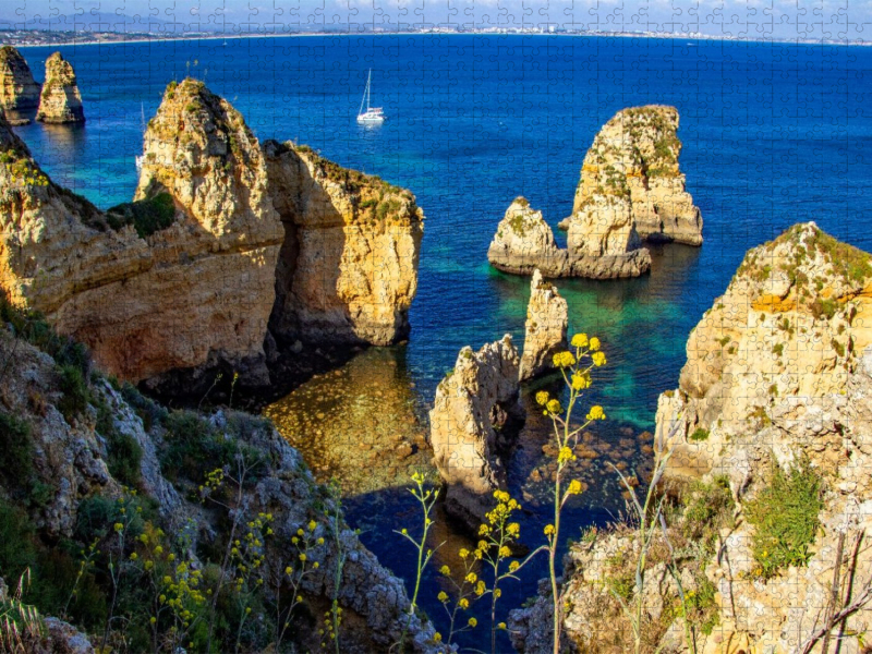 Klippenhang und Wildblumen vor der Küste vor Lagos