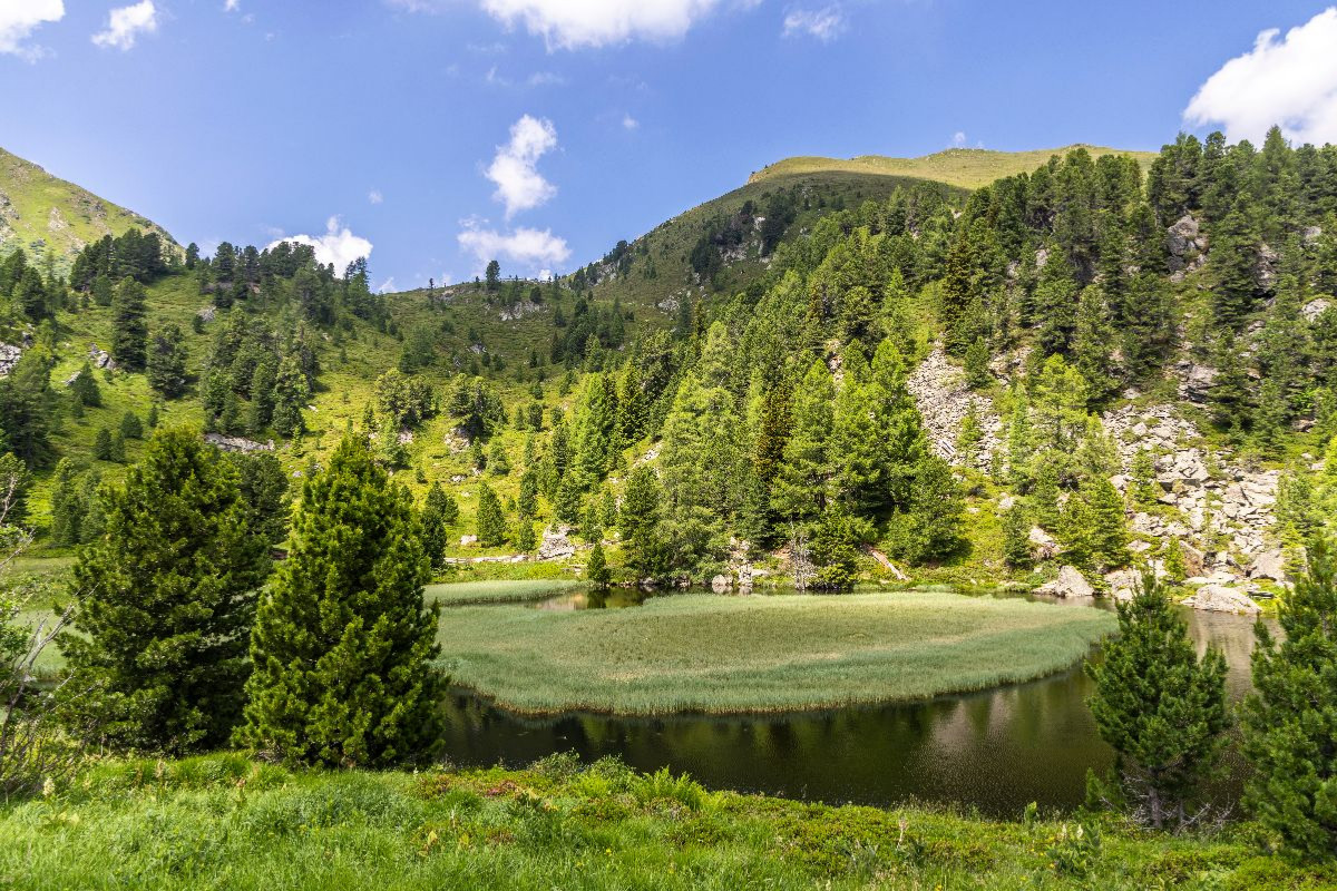 Zauberhafter Windebensee, Biosphärenpark Nockberge