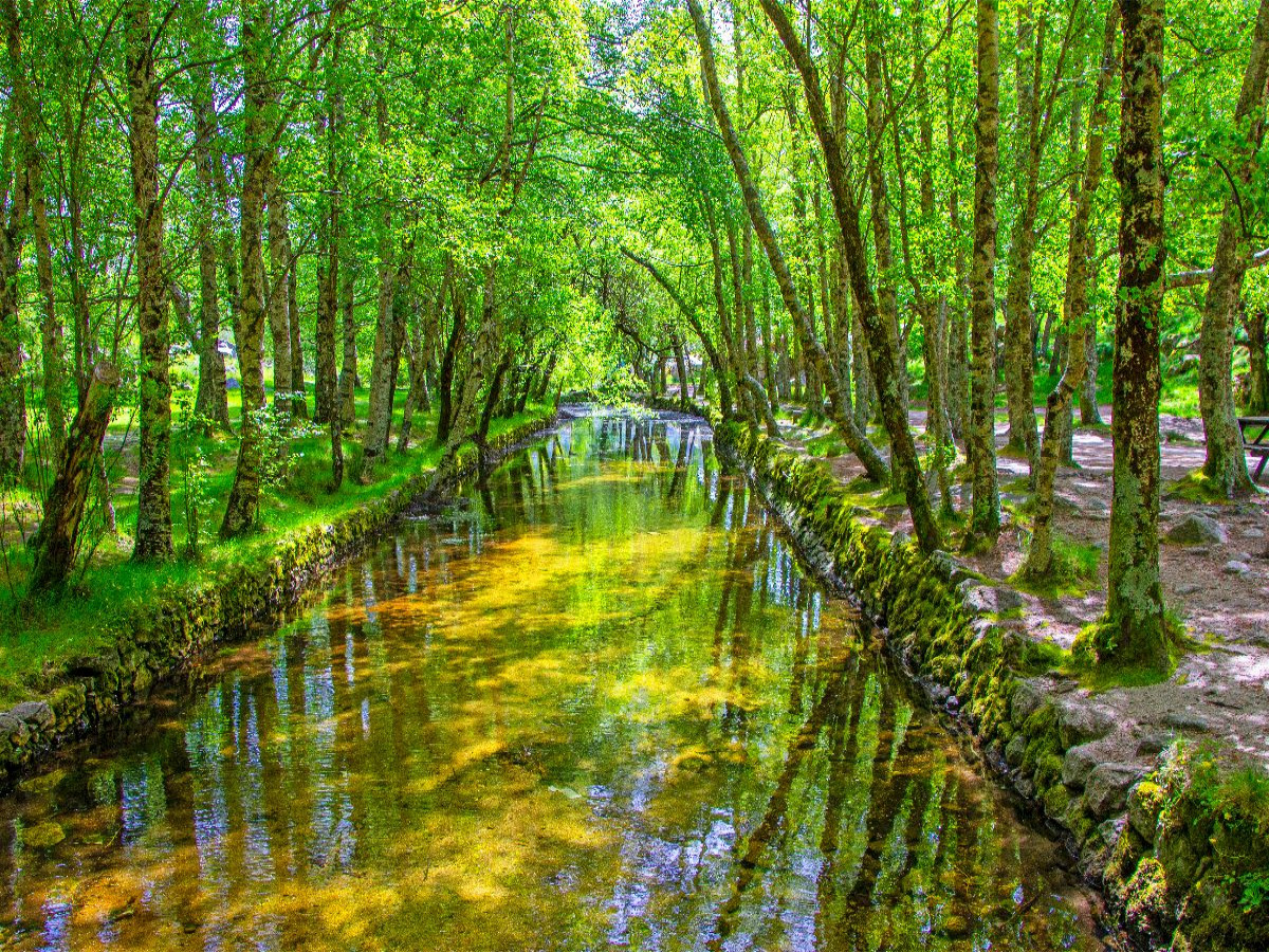 Covão da Metade im ältesten Naturpark