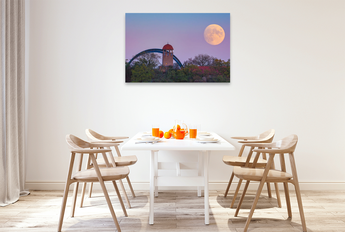 Vollmond über dem Bergzoo