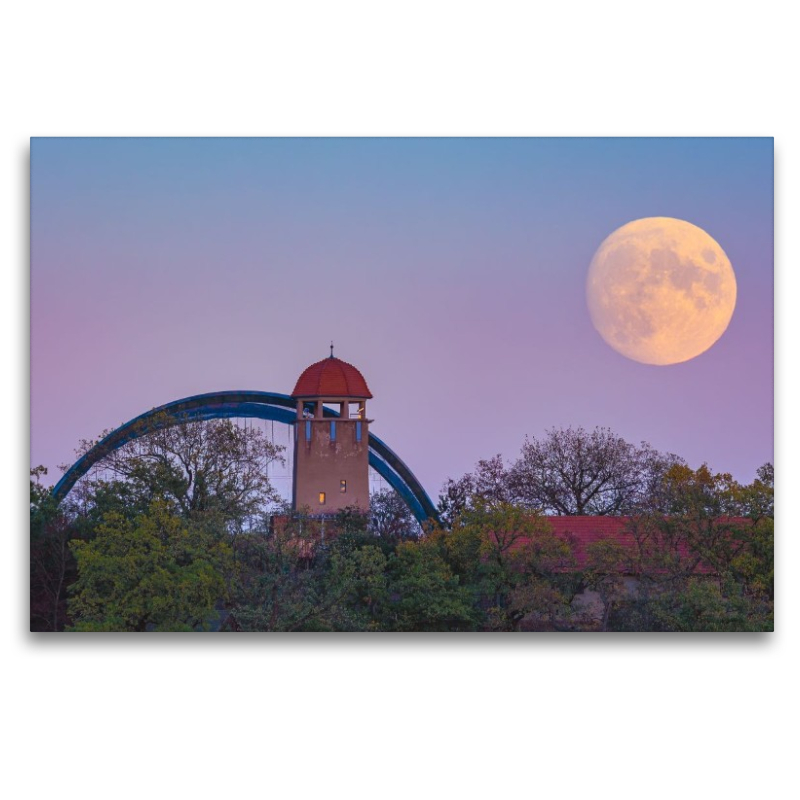 Vollmond über dem Bergzoo