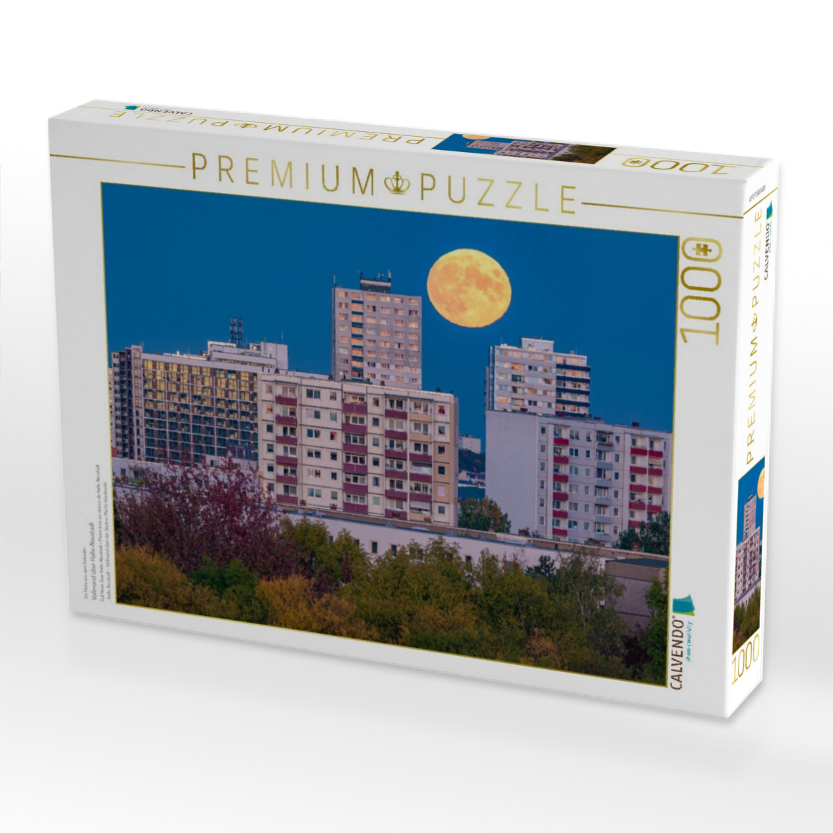 Vollmond über Halle-Neustadt