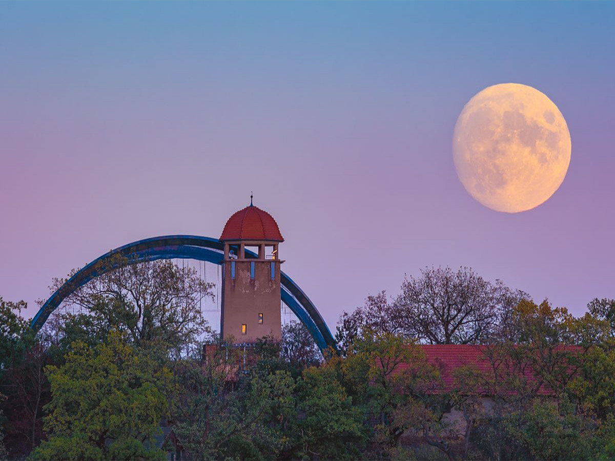 Vollmond über dem Bergzoo