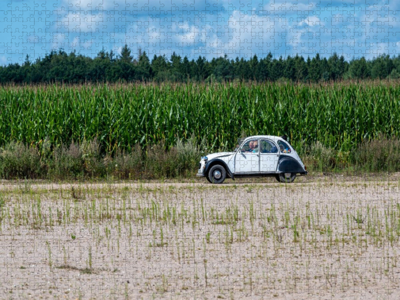 Unterwegs am Maisfeld