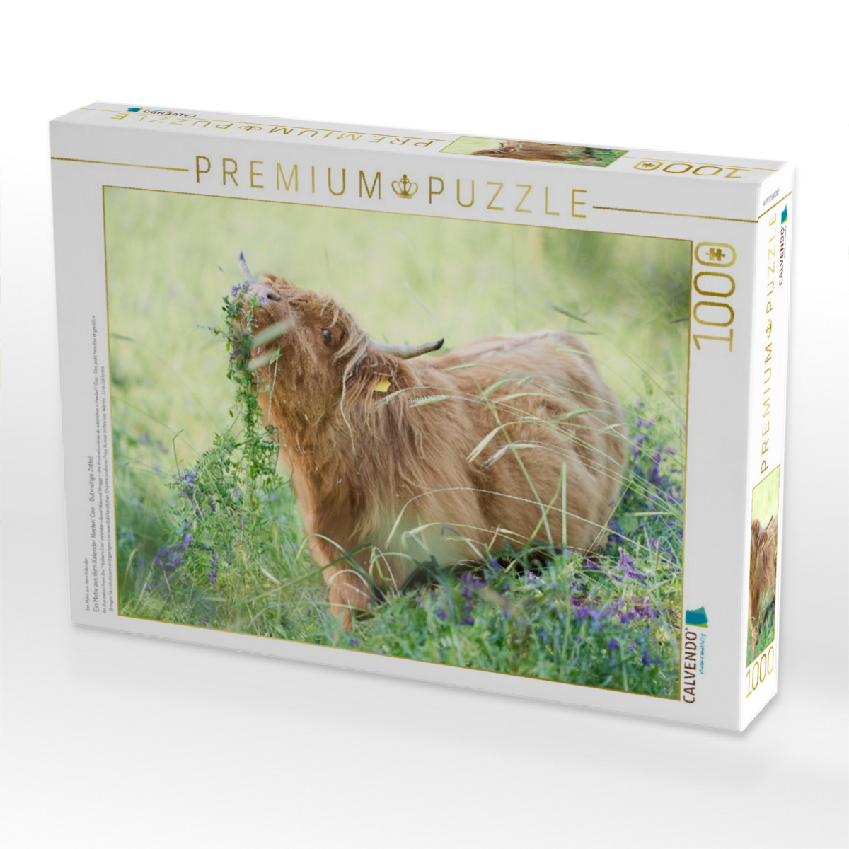 Ein Motiv aus dem Kalender Heelan' Coo - Gutmütige Zottel