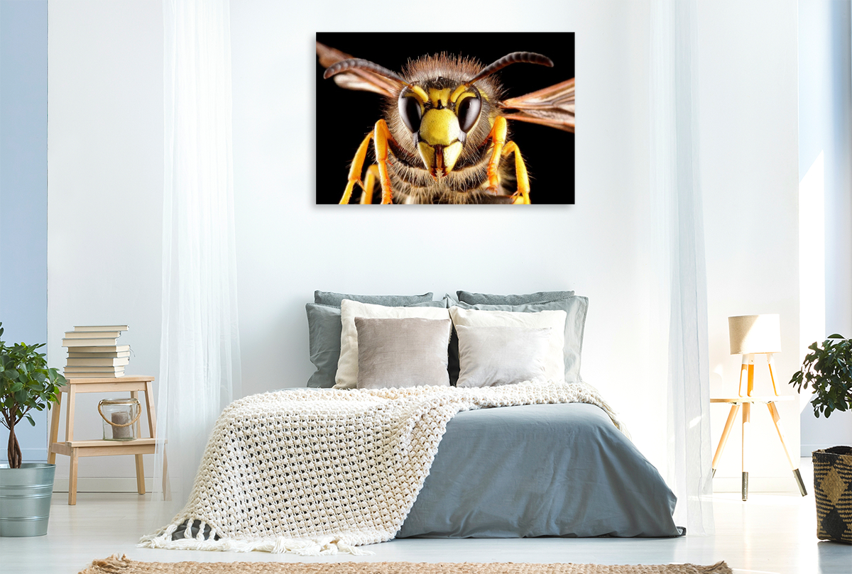 Gemeine Wespe (Vespula vulgaris)