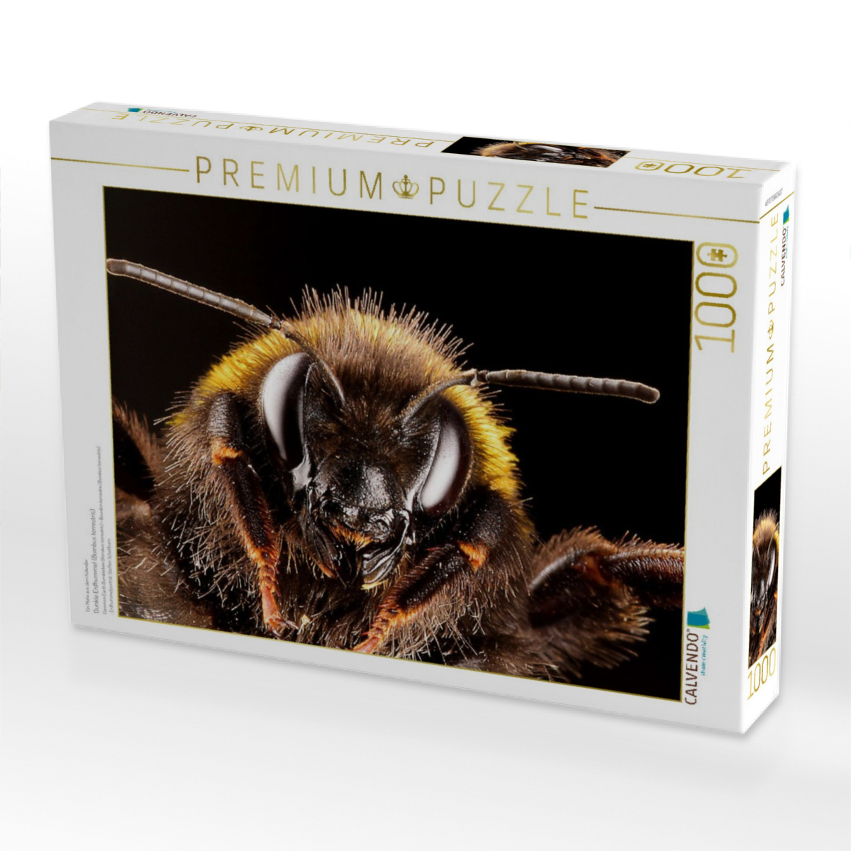 Dunkle Erdhummel (Bombus terrestris)