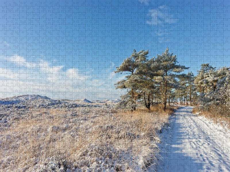 Winterdünen bei Tversted Stokmølle