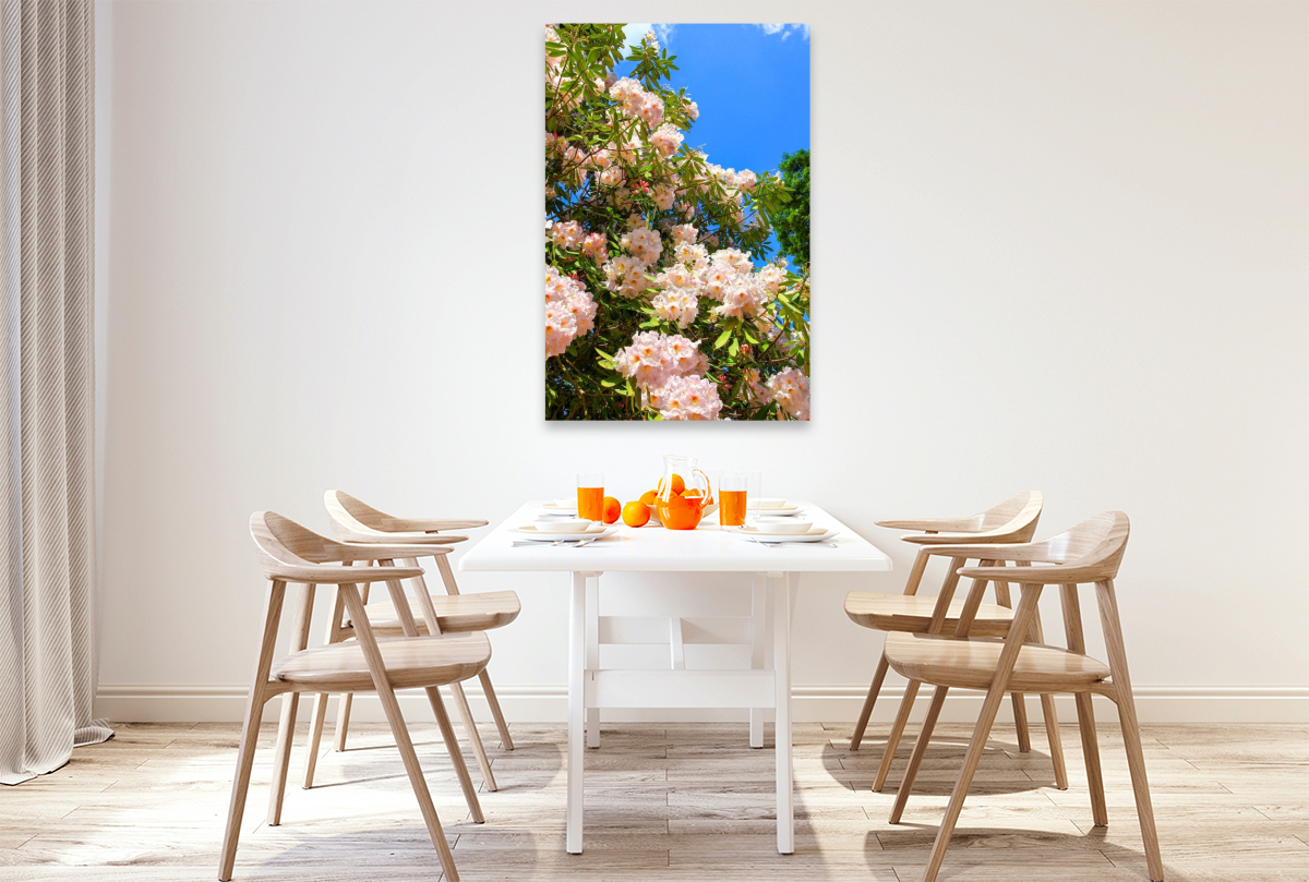 Blühender Rhododendron, Südengland. Zitat: Dietrich Bonhoeffer, 1906-1945
