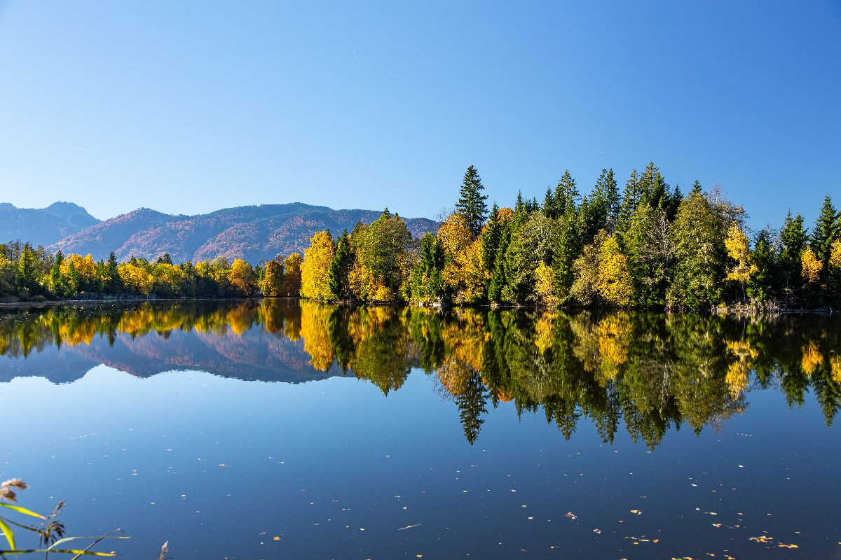 Neuer Moosbergsee