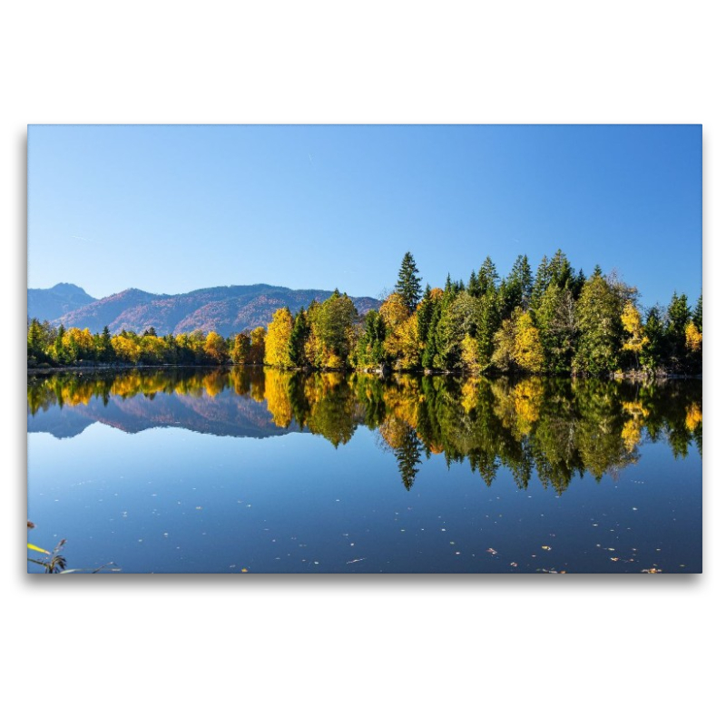 Neuer Moosbergsee