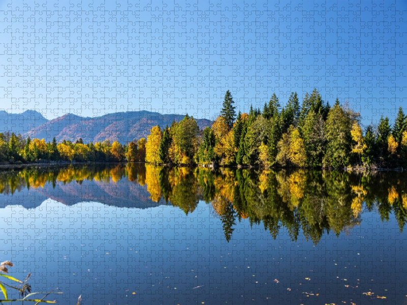 Neuer Moosbergsee