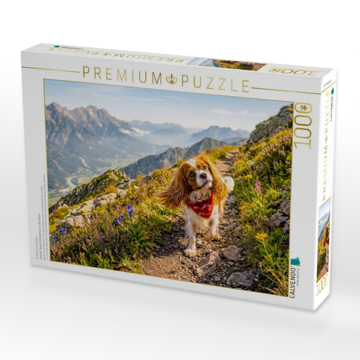 Cavalier Spaniel Wandertour in den Alpen