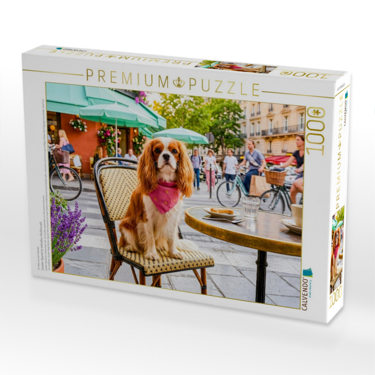 Cavalier Spaniel im lebhaften Straßencafé