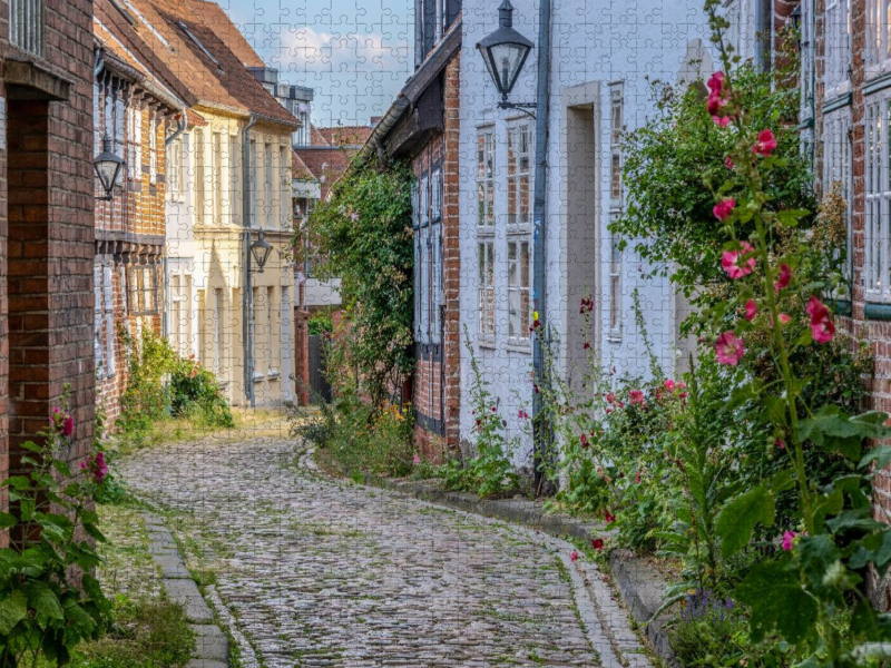 Historisches Lüneburg mit Rosenzauber