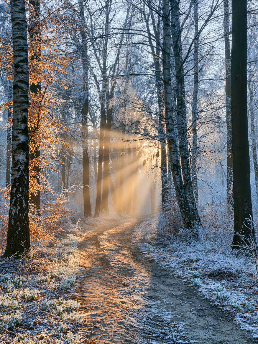 Stille in Weiß