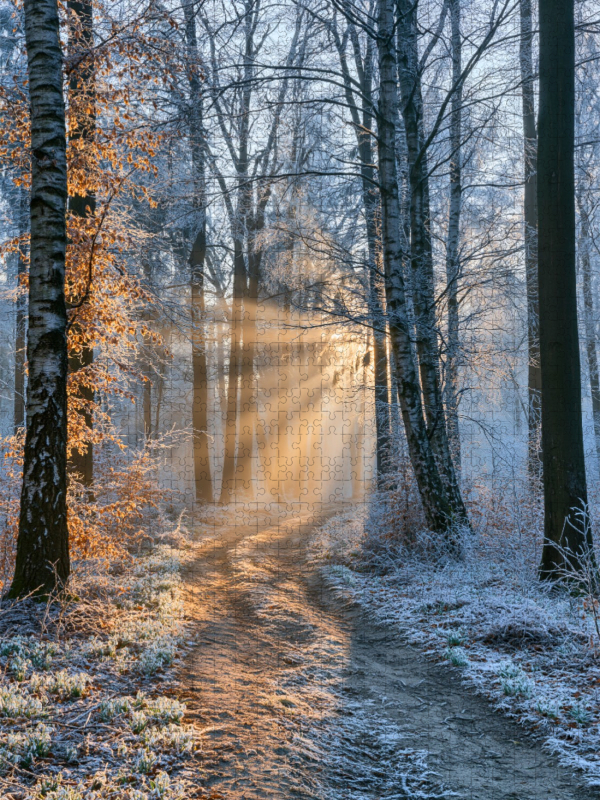 Stille in Weiß