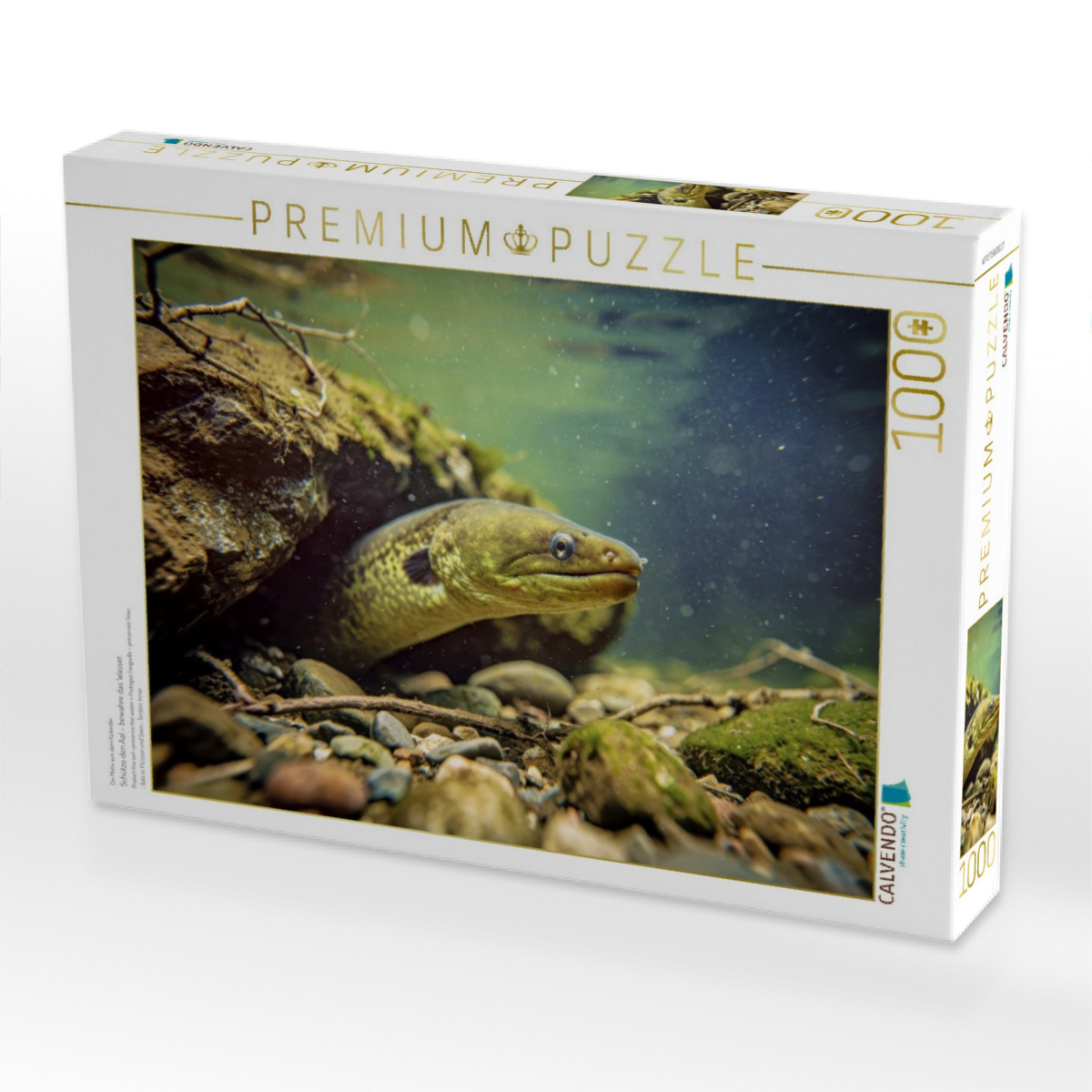 Schütze den Aal – bewahre das Wasser.