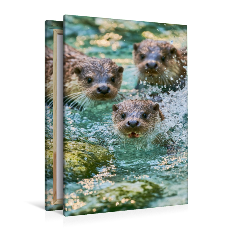 Kleine Wellen, großes Glück