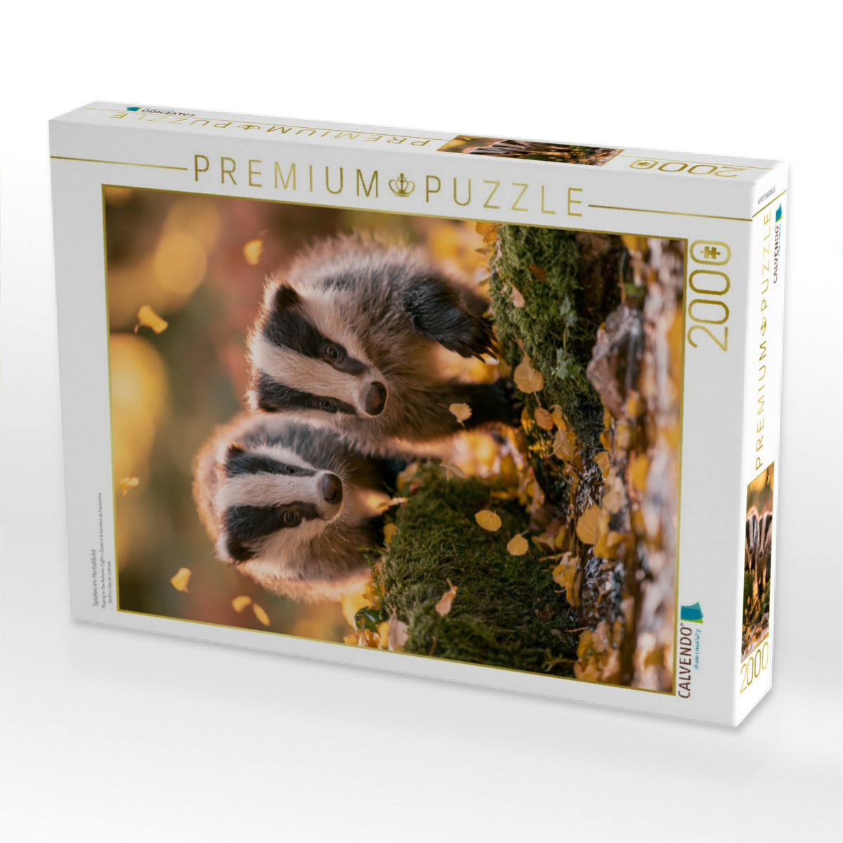 Spielen im Herbstlicht