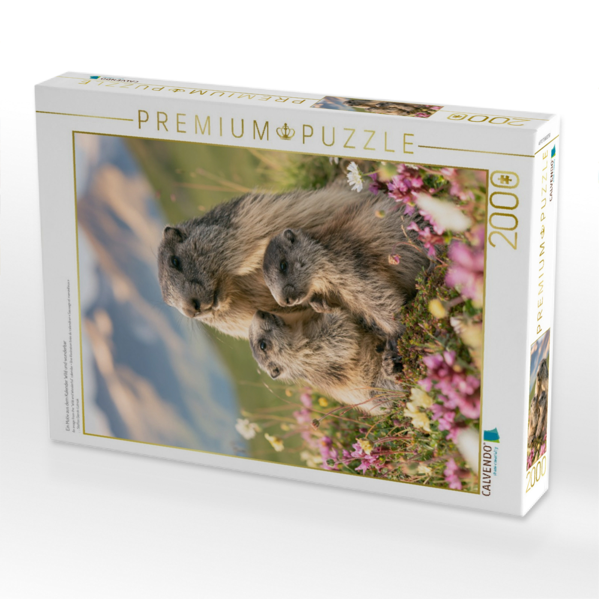 Ein Motiv aus dem Kalender Wild und wunderbar