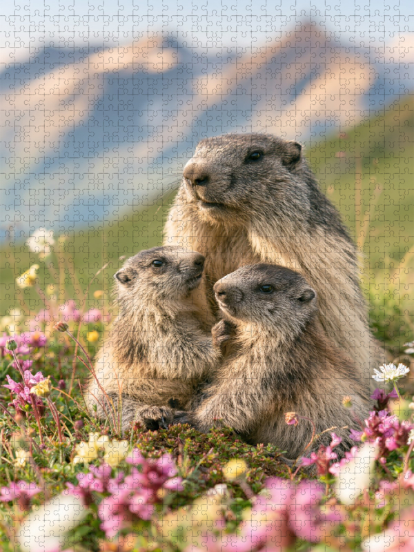 Ein Motiv aus dem Kalender Wild und wunderbar