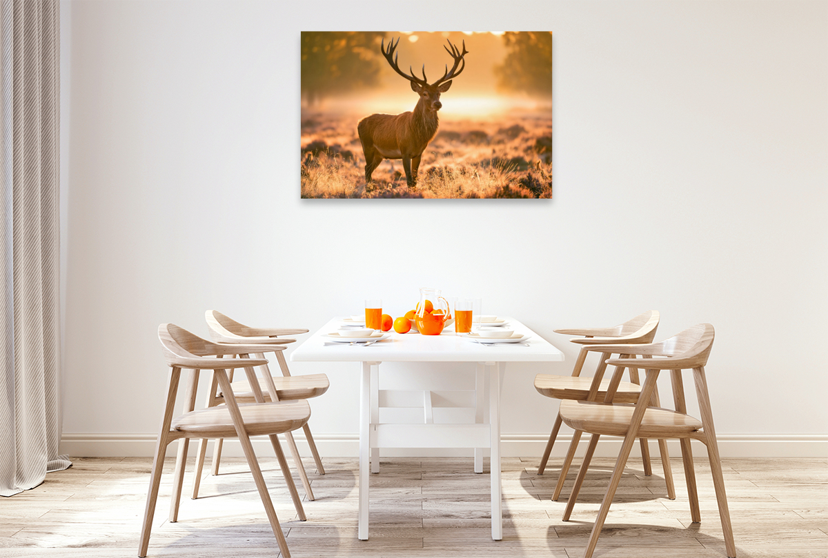 König des goldenen Morgens
