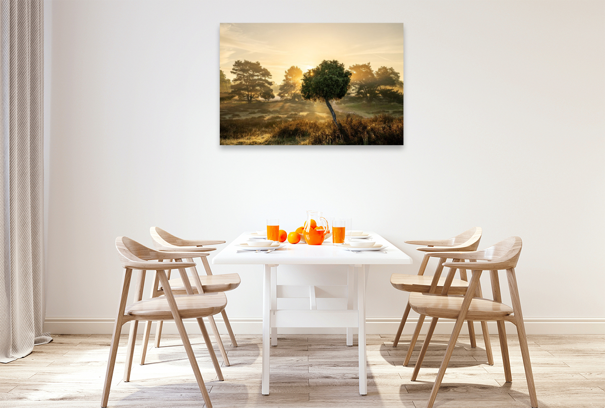 Sonnenaufgang in der Westruper Heide