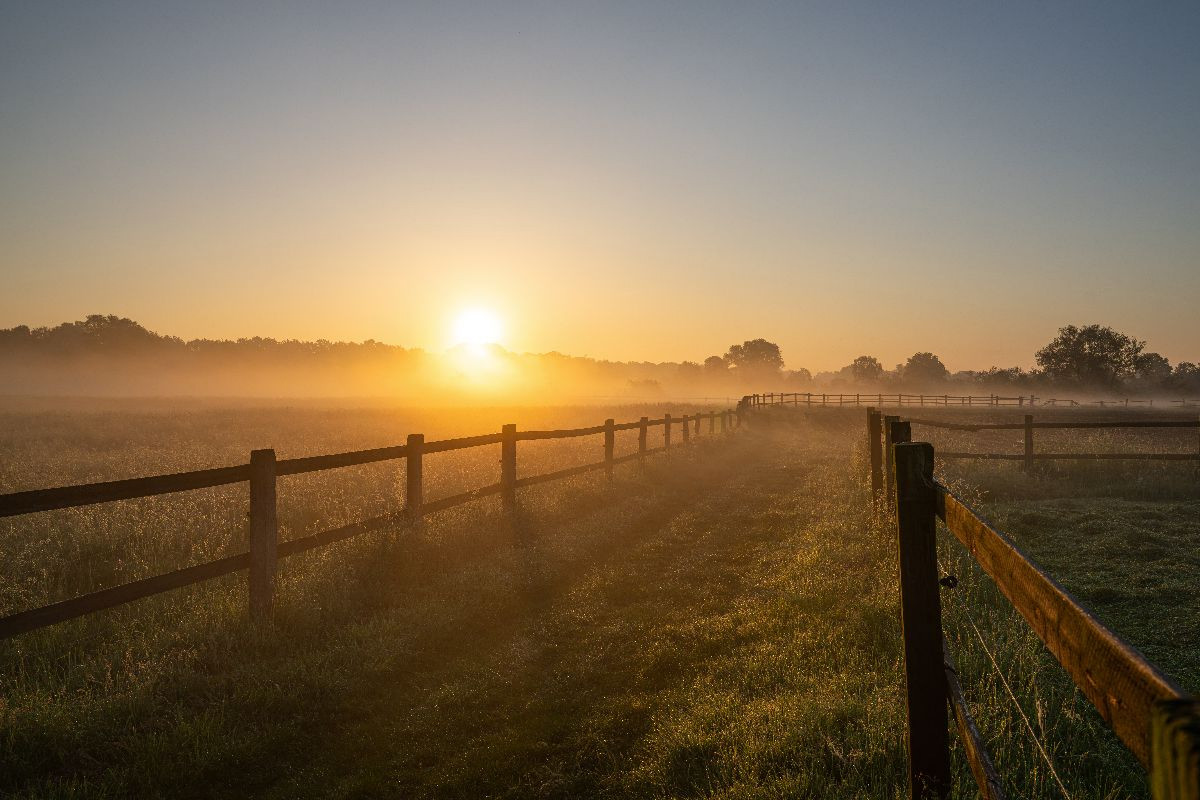 Sonnenaufgang über den Lippewiesen