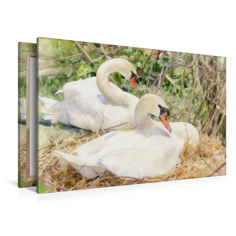Schwäne auf ihrem Nest