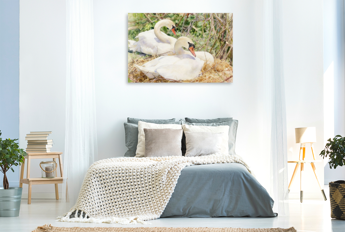 Schwäne auf ihrem Nest