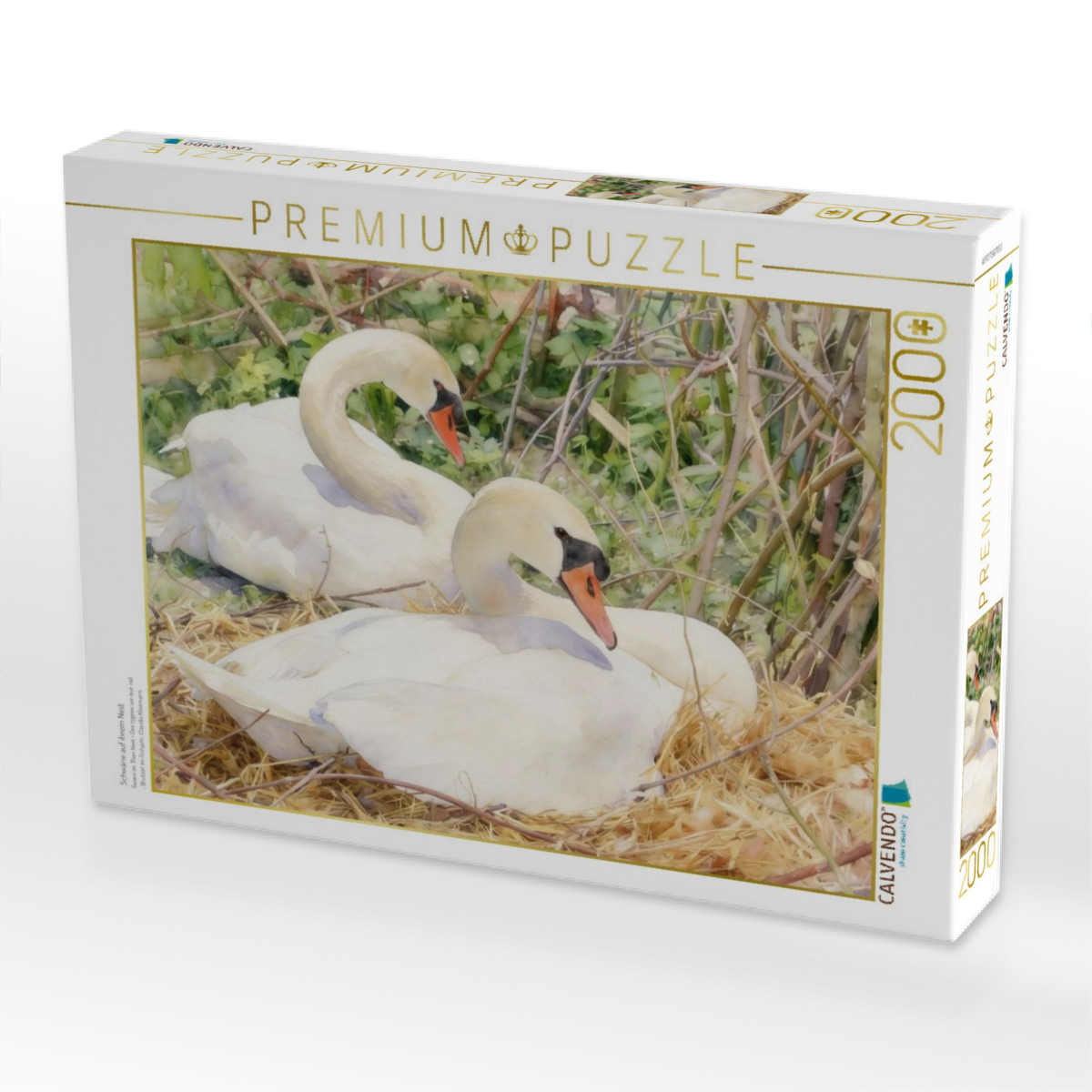 Schwäne auf ihrem Nest