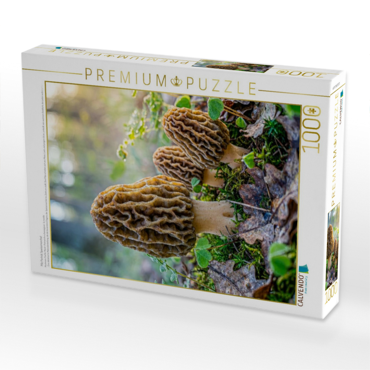 Pilz Porträt Speisemorchel