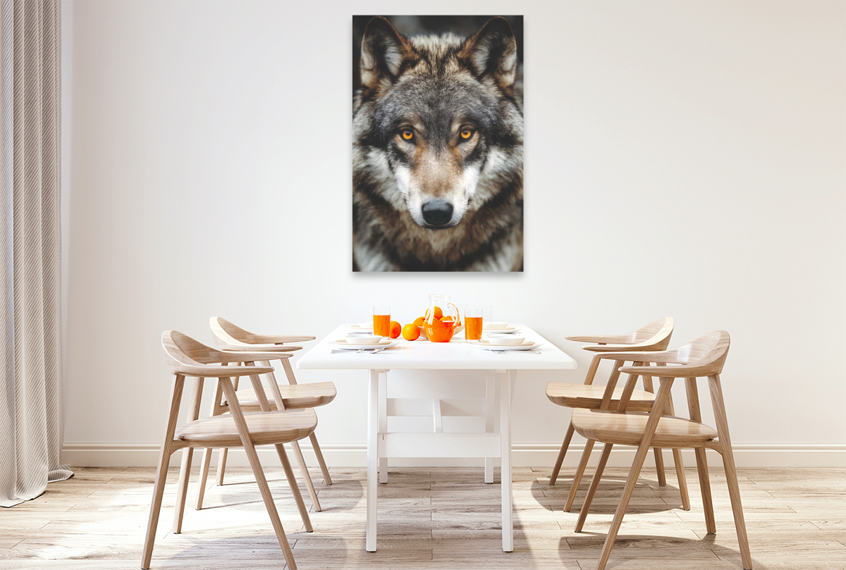 Augen, die die Geheimnisse der Wildnis kennen