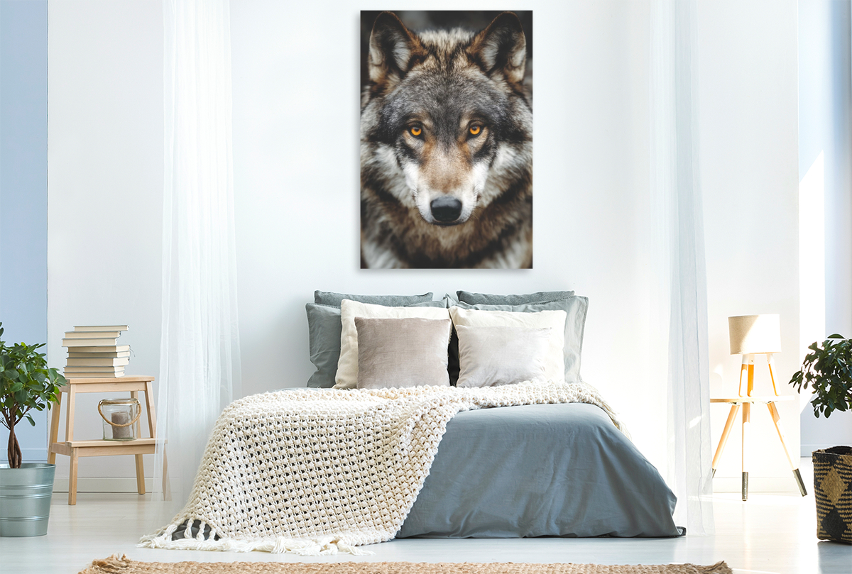 Augen, die die Geheimnisse der Wildnis kennen