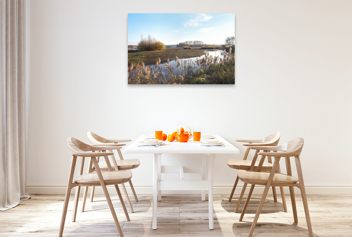 Uferlandschaft im Licht