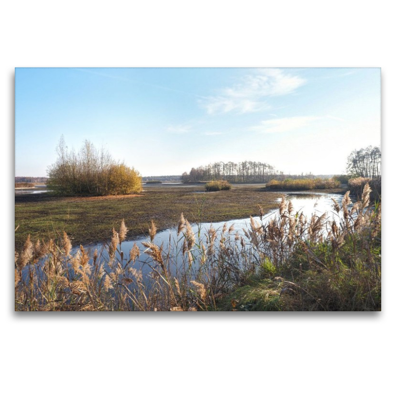 Uferlandschaft im Licht