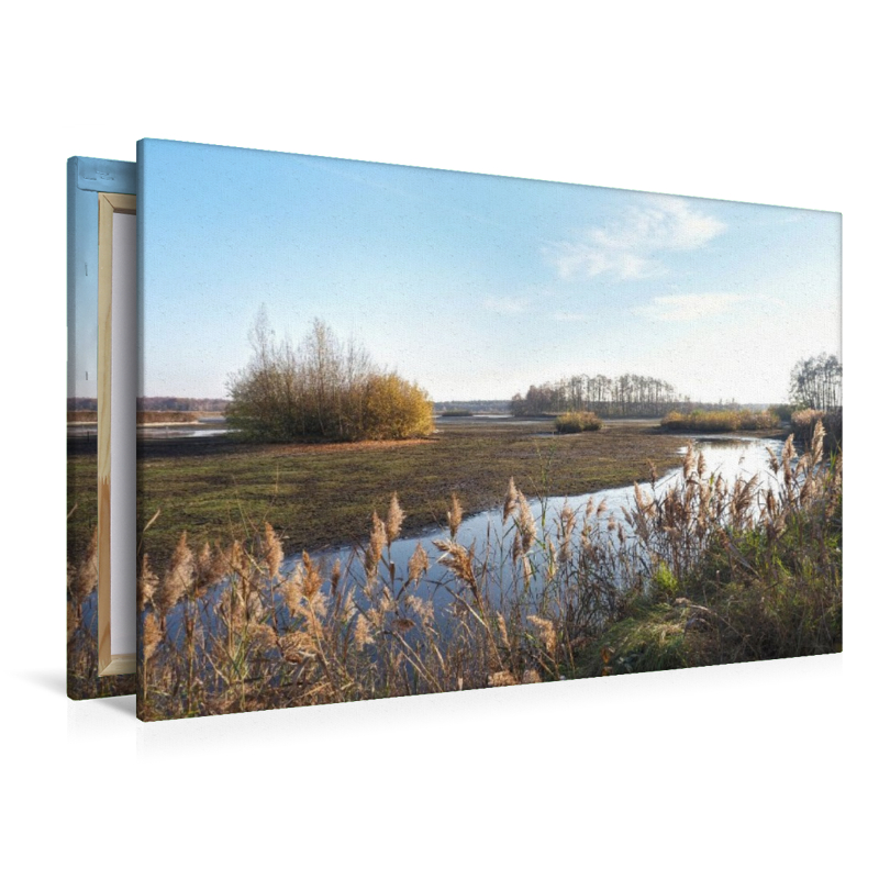 Uferlandschaft im Licht